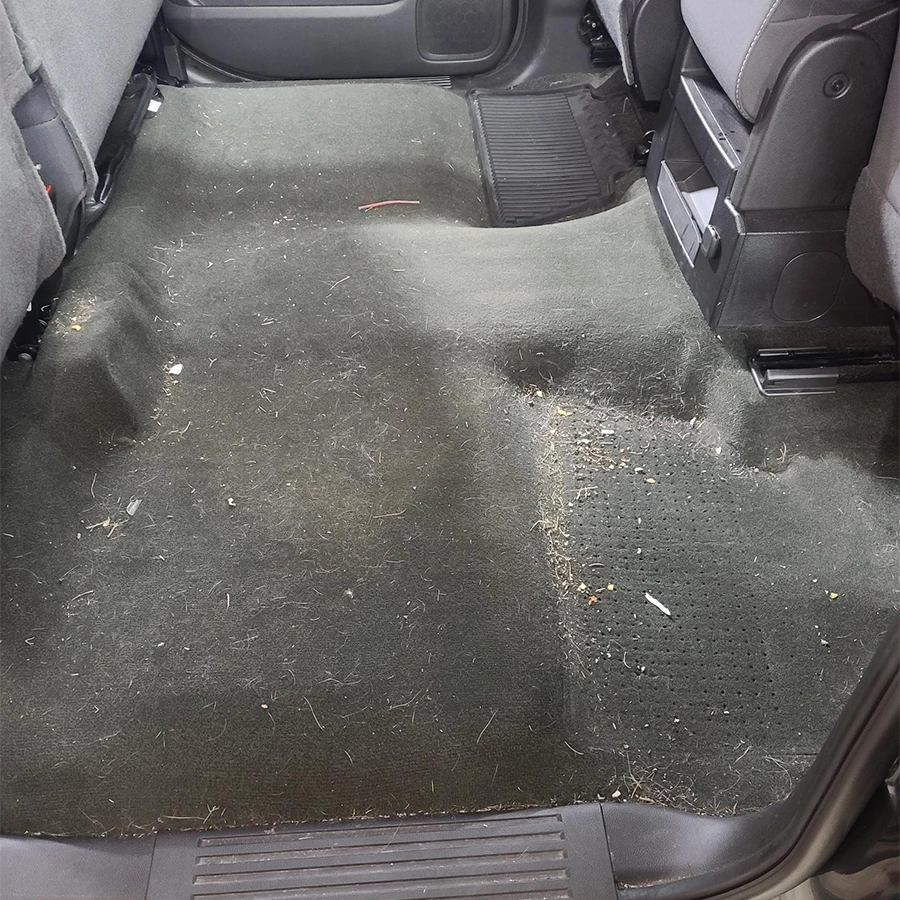 Vehicle Carpet Cleaning